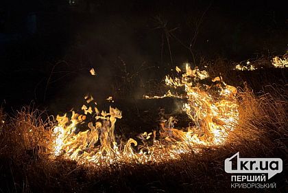 Криворізький район лідирує в Дніпропетровській області за кількістю пожеж в екосистемах
