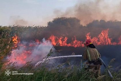 На Криворожье до 19 августа сохранится чрезвычайная пожарная опасность