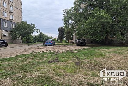 Парковка на сухой траве в жару: чем это опасно
