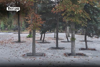 Забетонированный участок вокруг деревьев в парке Мершавцева в Кривом Роге