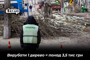 Вырубка по-криворожски: 7 миллионов потратят на удаление двух тысяч деревьев