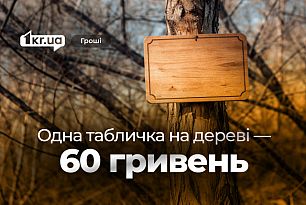 Рекламу с деревьев и столбов в Кривом Роге уберут за 270 тысяч гривен: детали закупки
