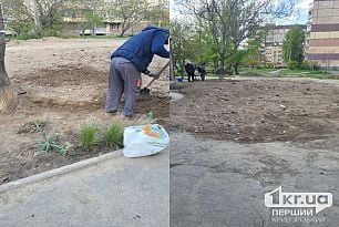 Два месяца никто ничего не делает: криворожане продолжают жаловаться на грязь во дворах