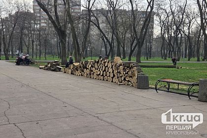 У криворізькому парку Театральний почали вирубувати дерева