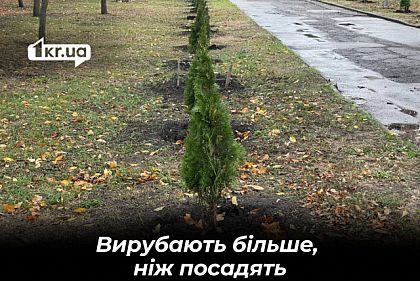 У Кривому Розі вирубають удвічі більше дерев, ніж висадять — скільки на це витратять