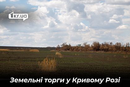 У Кривому Розі планують виставити на аукціон шість земельних ділянок