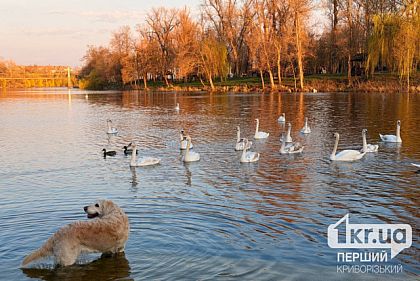 Якою буде погода у Кривому Розі в понеділок, 6 квітня