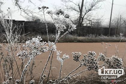 Вночі 7 квітня прогнозують заморозки на ґрунті – чим це загрожує