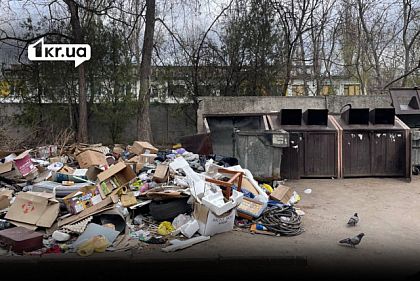 Меблі та коробки біля сміттєвих баків: криворіжці скаржаться на стихійне сміттєзвалище