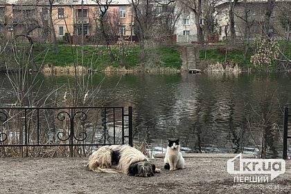 Погода у Кривому Розі 9 квітня
