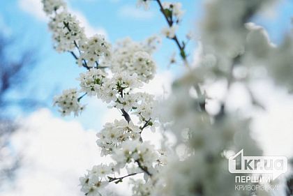 Погода у Кривому Розі 10 квітня