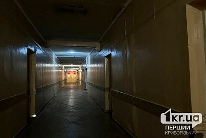 Напади мавпи та собак: скільки криворіжців за тиждень звернулися до лікарів