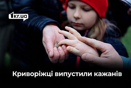 Масовий випуск кажанів: чому таку акцію проводять у Кривому Розі та інших містах