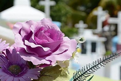 Штучні квіти на поминальні дні: які екологічні альтернативи можуть обрати криворіжці