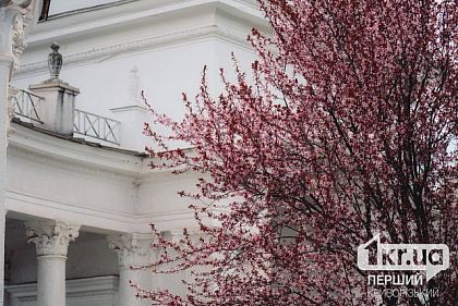 Погода у Кривому Розі 15 квітня