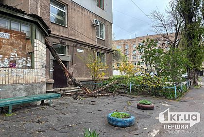 Криворожан предупреждают о сильных порывах ветра 27 апреля