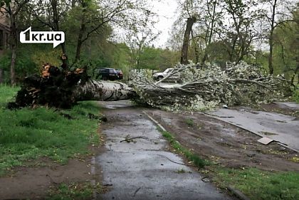 Более 160 тысяч домов остались без света — последствия непогоды в Днепропетровской области