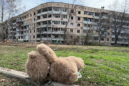 У березні в Україні на 65% зросла кількість постраждалих дітей