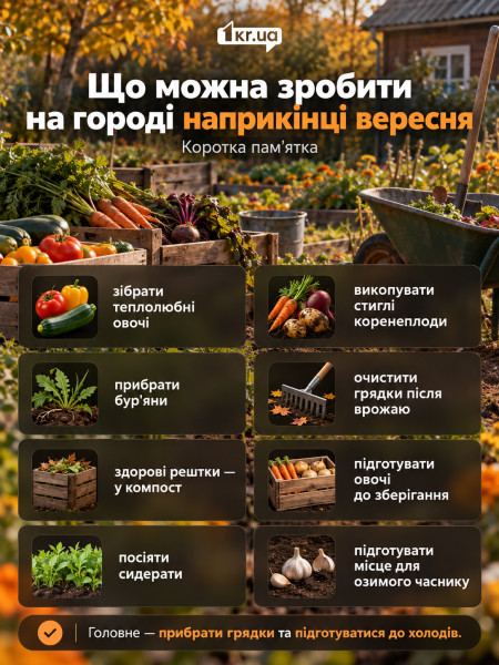 Памятка о работах на огороде в конце сентября: сбор овощей, уборка грядок и подготовка к холодам