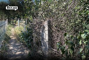 Заросшие кустами и деревьями могилы на Ново-Парадовском кладбище в Кривом Роге