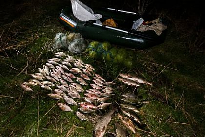 незаконно виловлена риба