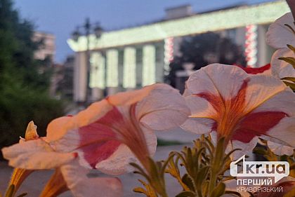 цветы возле театра