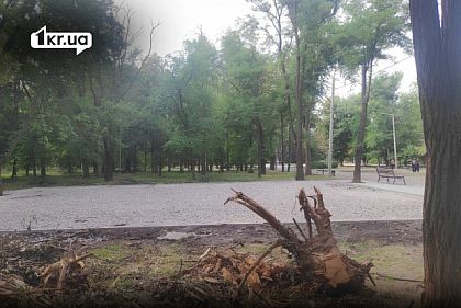 В парке «Шахтерский» в Кривом Роге забетонируют зеленую зону: что там будет