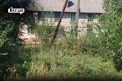 Заросшая сорняками и кустами территория возле дома №58 на улице Тарапаковской в Кривом Роге