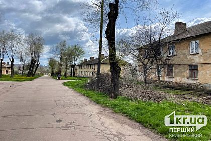 дерева біля будинку