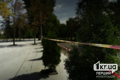парк Мершавцева в Кривом Роге