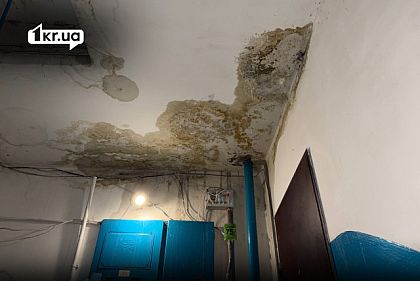 Мокрый потолок со следами протекания и плесени и открытые провода в первом подъезде дома на улице Алексея Резниченко в Кривом Роге после дождей