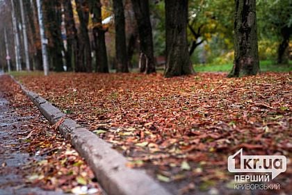 осіння алея
