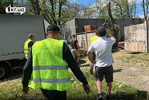 На Ингульце деревья рубят — чиновники молчат