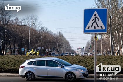 Штрафные баллы за нарушение ПДД: в Украине готовят новые правила для водителей