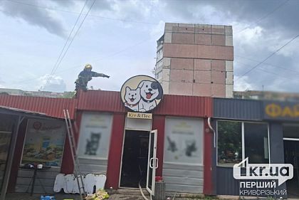 У Кривому Розі горів магазин зоотоварів: що відомо