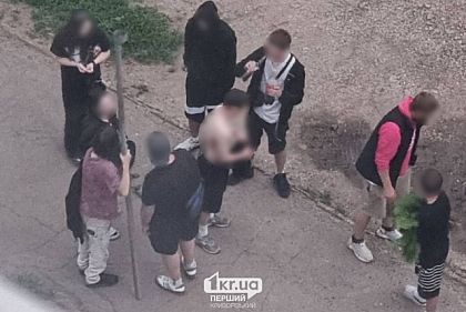 Поламали майданчик, вирвали дорожній знак, шлагбауми та квіти: у Кривому Розі підлітки влаштували погром