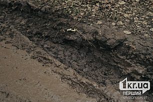 Криворіжець просить відремонтувати дорогу в одному з дворів міста — петиція