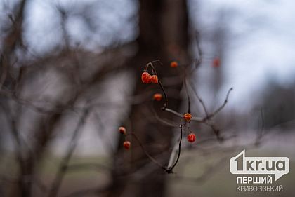 Перепад температуры: погода в Кривом Роге 2 января