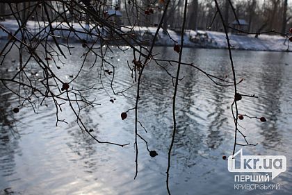 Потепление и резкое похолодание: какая будет погода в Кривом Роге в течение недели