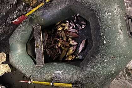 Сколько нарушителей обнаружили на водоемах Днепропетровщины за неделю