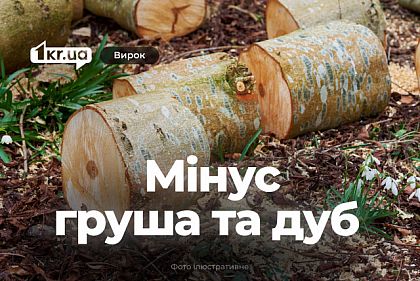 Мешканець Криворіжжя незаконно спиляв дерева для обігріву будинку – що вирішив суд