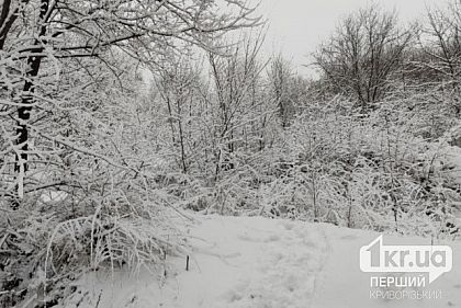 Какая будет погода в Кривом Роге 17 января