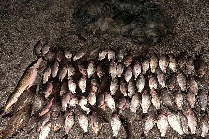 За год на водоемах Днепропетровской области обнаружили почти 4 тысячи браконьеров