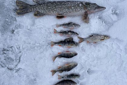 На водоемах Днепропетровщины за неделю выявили 128 административных нарушений рыболовства