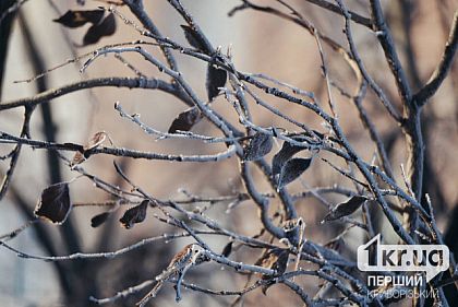 Коли криворіжцям очікувати на послаблення морозів