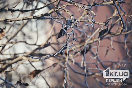 Морози слабшають: якою буде погода у Кривому Розі 22 січня