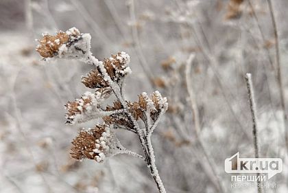 Погода у Кривому Розі 23 січня