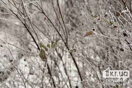 Яку погоду очікувати криворіжцям 25 січня
