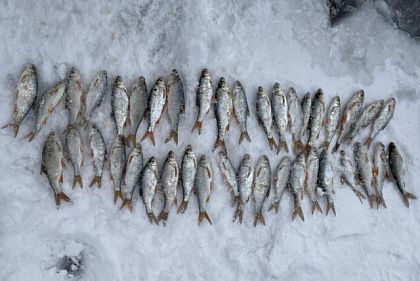 Сколько нарушений рыболовства обнаружили на водоемах Днепропетровщины за неделю