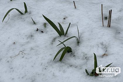 Будет дождливо: погода в Кривом Роге 29 января